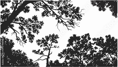Black and white forest canopy silhouettes looking up at the sky, a high-contrast minimalist nature background vector illustration of tree branches and leaves.
