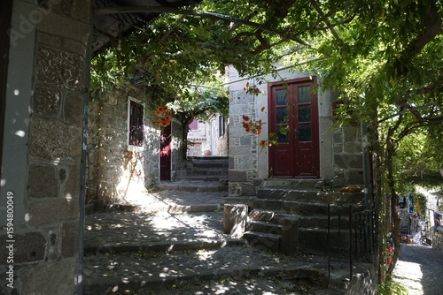 Fototapeta Naklejka Na Ścianę i Meble -  Narrow streets in the mountain village of Mithimna in Greece. Play of light and shadow. Vines for shading and cobblestone pavement.