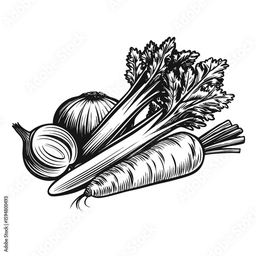 Soup base ingredients: monochrome engraving of soup base ingredients, showing onion, celery, and carrot in vintage style. Soup base ingredients are essential for flavorful cooking.