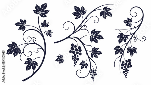 Elegant black silhouette grape vine designs with leaves and fruit clusters. Decorative vector illustrations for wine, nature, and botanical themes.