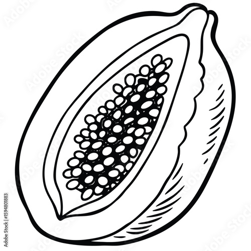 Vector art of a halved papaya showing its seeds, isolated on a white background