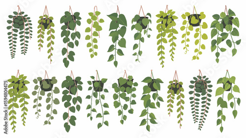 Collection of Hanging Vine Plants Decorative Greenery for Interiors and Creative Designs