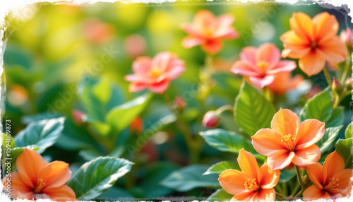 Vibrant orange flowers blooming in a lush green garden, adding color and beauty to the natural landscape.