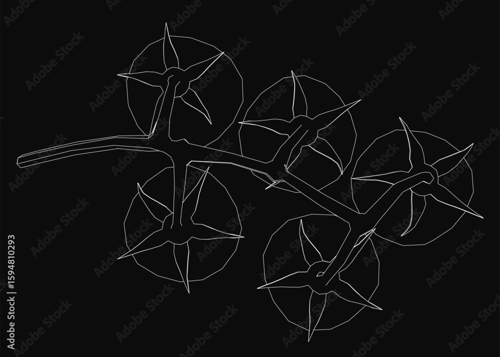 Fototapeta premium A white line art illustration of a tomato branch with detailed leaves and fruits in a minimalist contour style. The vector graphic features clean outlines against a solid black background