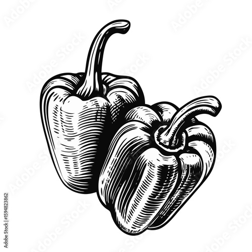 Piquillo peppers stuffed, delicious peppers engraved with decorative, carved lines, isolated on white. These piquillo peppers stuffed look very appetizing for cooking design.