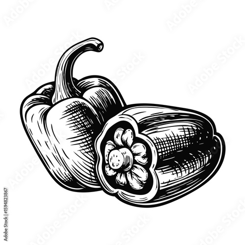 Piquillo peppers stuffed and sketched in realistic detail, creating artful culinary illustration. Close up piquillo peppers stuffed look great for food advertising,