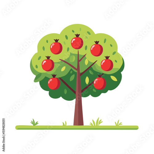 Pomegranate Tree Icon Isola...