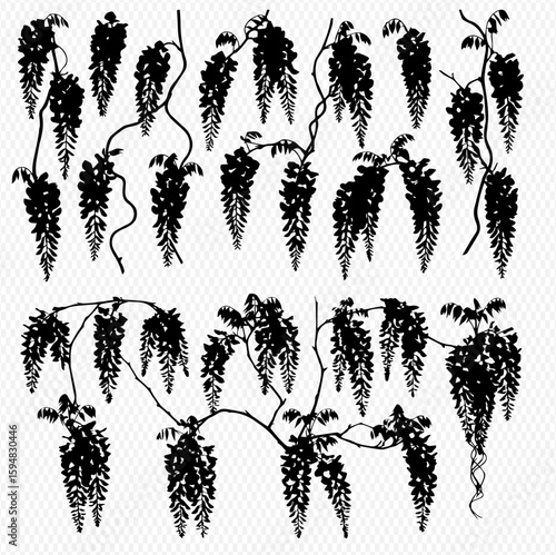 Black silhouette illustrations of wisteria flowers hanging from vines, arranged in a collection of various shapes and sizes.