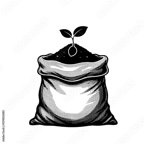 A seedling sprouts from a burlap sack filled with soil isolated on white background
