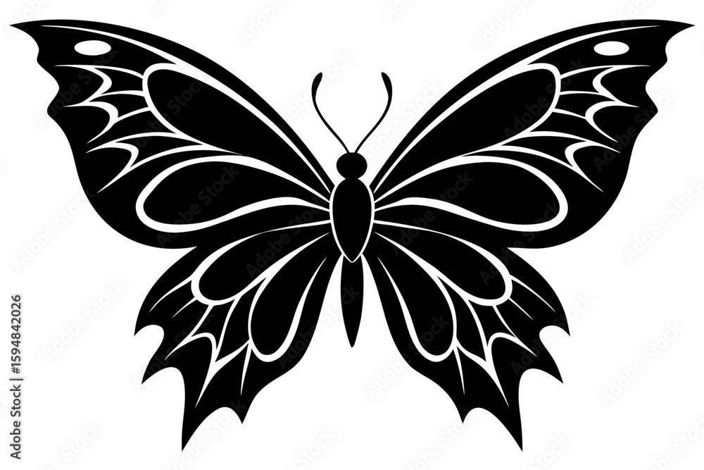 Obraz premium Detailed butterfly with decorative wings silhouette vector illustration