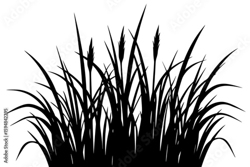 Dense reeds and grass clump black silhouette vector illustration