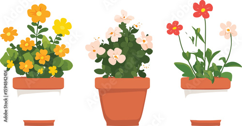 Colorful Flowers in Terracotta Pots