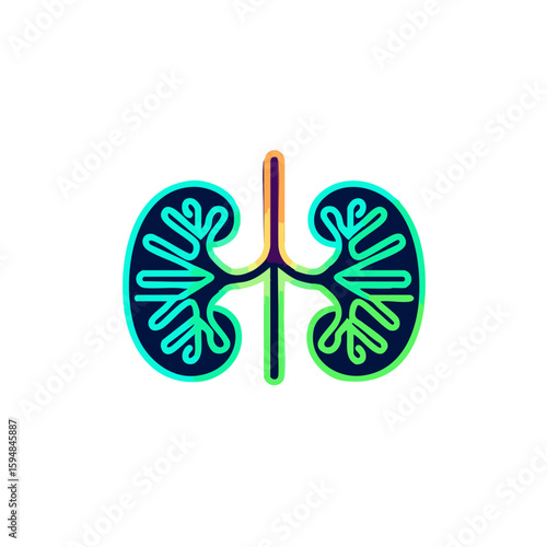 Gradient Line vector  Icon of Human Kidneys with Ureter in Modern Medical Style Illustration