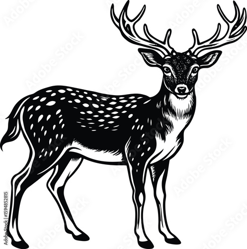 Elegant Fallow Deer Vector Illustration for Wildlife Nature and Hunting Designs