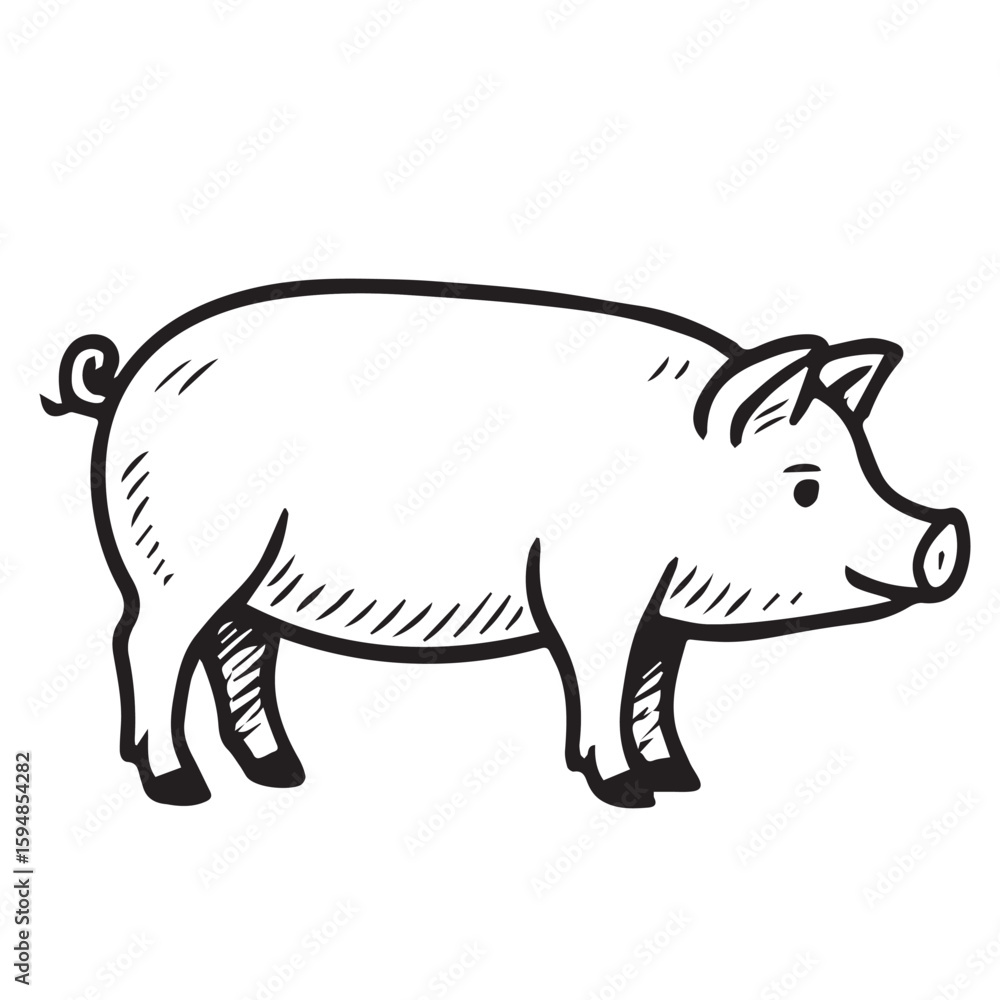 Fototapeta premium Vector image of a pig in black and white, outlined in black, offers a clean and playful look with minimalist artistic expression.
