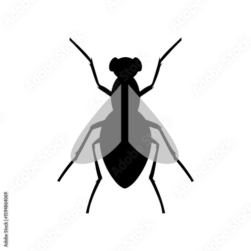 Icon vectors illustration of flies