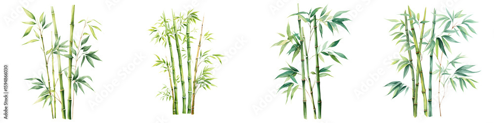 Fototapeta premium Set of Bamboo Stalks Watercolor Painting