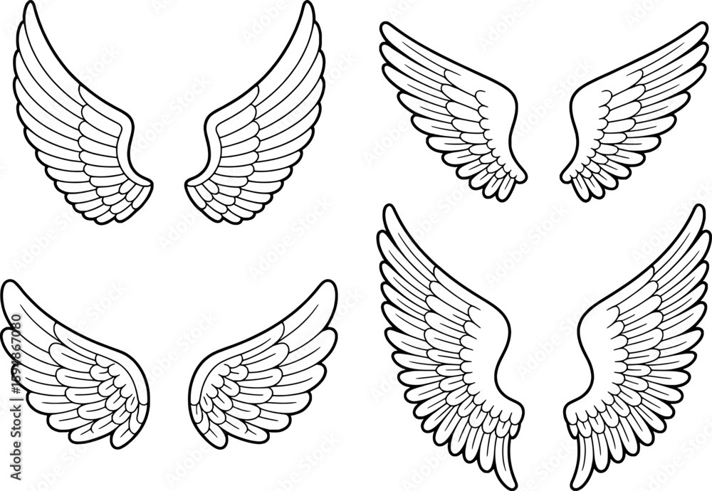 Fototapeta premium Feathered wings pair collection outline