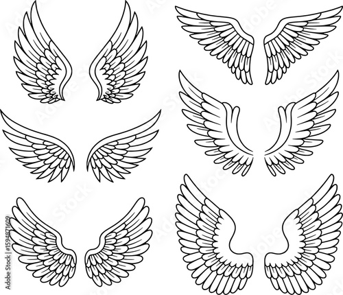 Various stylized wings in black outline on white background angel feather