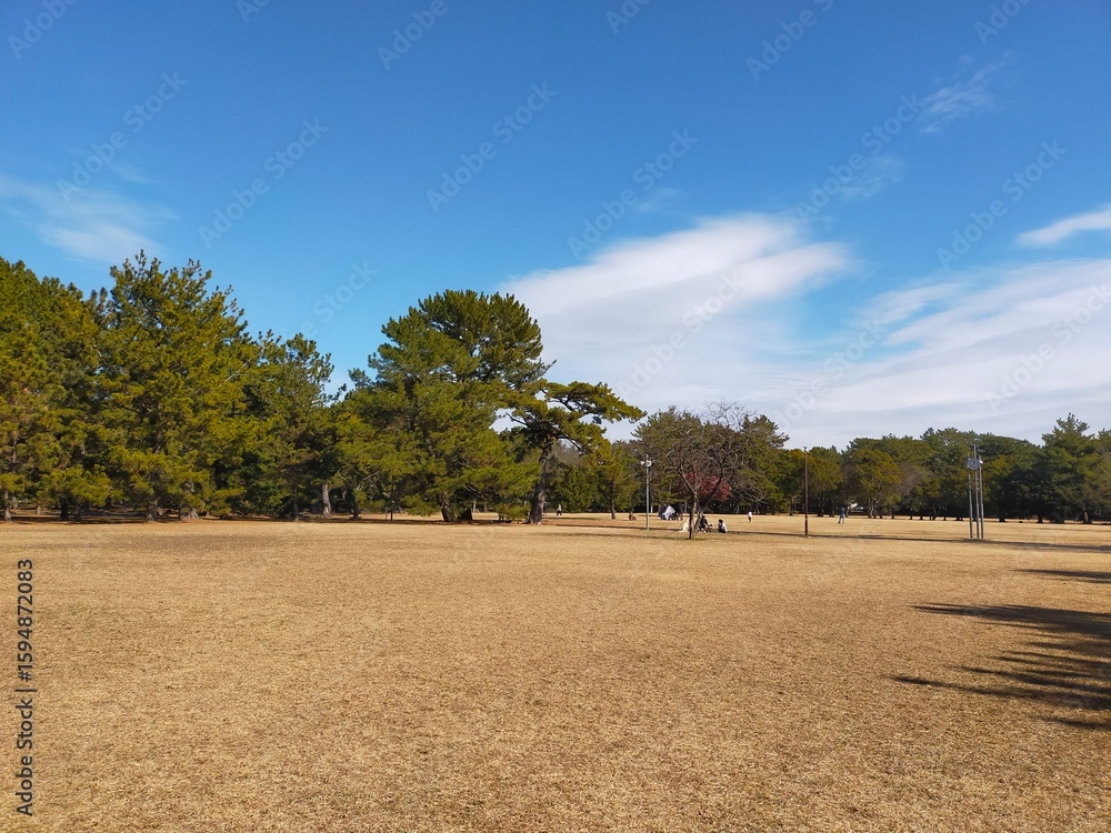 Obraz premium 高師緑地