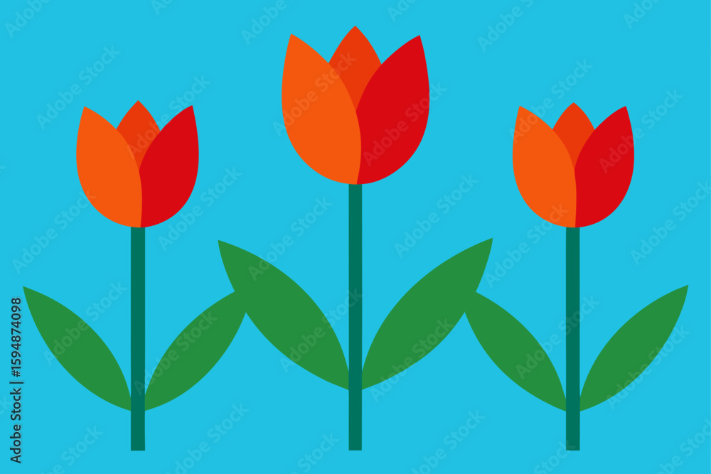 Fototapeta premium Red and yellow tulip flower vector illustration with leaves for spring floral design