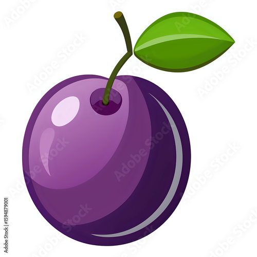 plum ,vector illustration white background