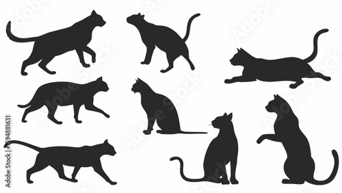 Black cat silhouettes set. Collection of domestic feline animal shapes in various poses. Vector illustration.