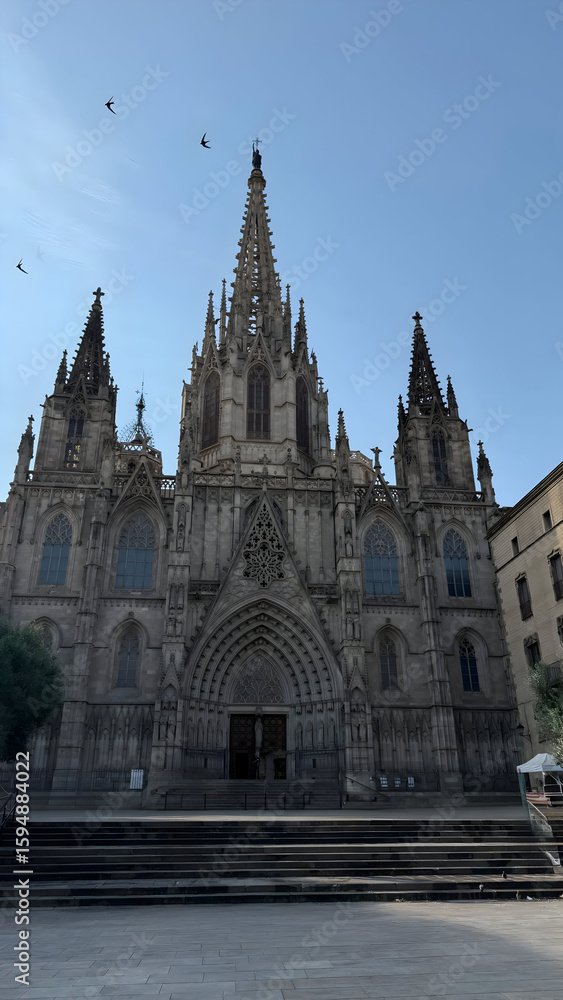 Fototapeta premium the cathedral of st vitus in prague
