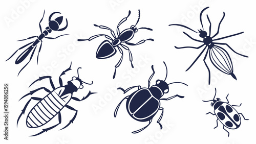 Common insects and bugs collection. Ant, spider, mosquito, beetle, ladybug. Pest control black and white illustration set.