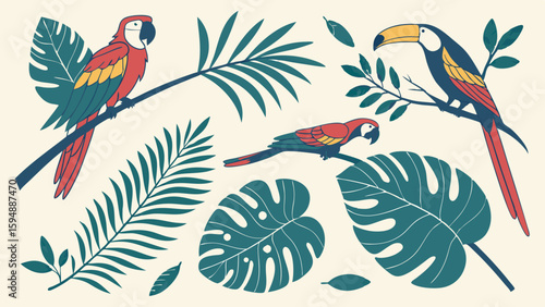 Tropical birds and exotic jungle leaves set. Colorful parrots, macaws, toucan, palm, monstera plants. Nature wildlife vector.