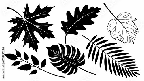 Black and white vector leaves collection. Isolated botanical nature silhouettes of maple, oak, palm, and tropical foliage.