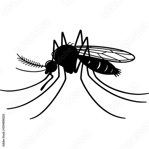 Black and white mosquito silhouette isolated on white background