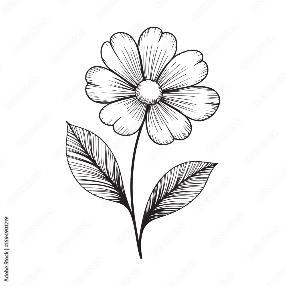 Fototapeta premium Monochrome Floral Elegance Delicate Daisy with Detailed Veined Leaves Artistic Botanical Illustration Intricate Line Work Black and White Flower Drawing Serene and Simple Natural Beauty