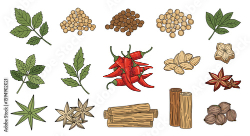 A culinary collection of aromatic herbs spices seeds and peppers for flavorful cooking