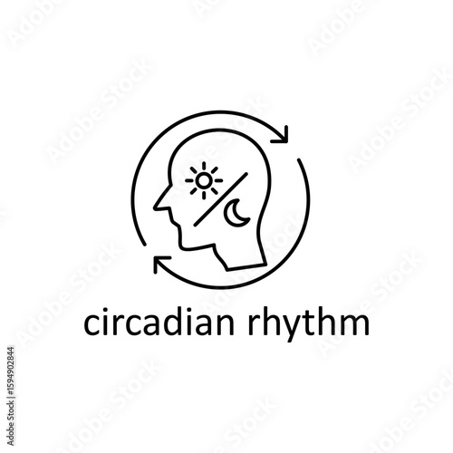 Circadian Rhythm Illustration: Daily Cycle in Mind