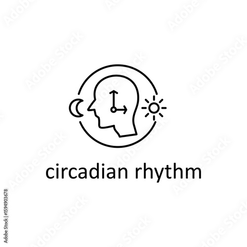 Circadian Rhythm Icon: Sleep, Wake Cycle, and Human Health