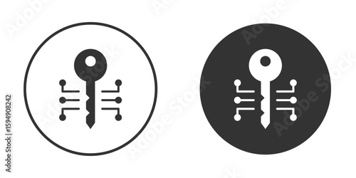Digital key icon vector solid icon style illustration. EPS 10 file