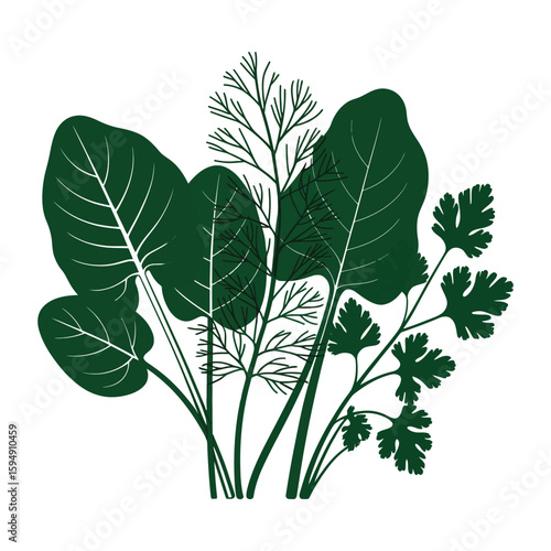 Dark green illustrated herbs dill parsley and spinach leaves on white leafy greens
