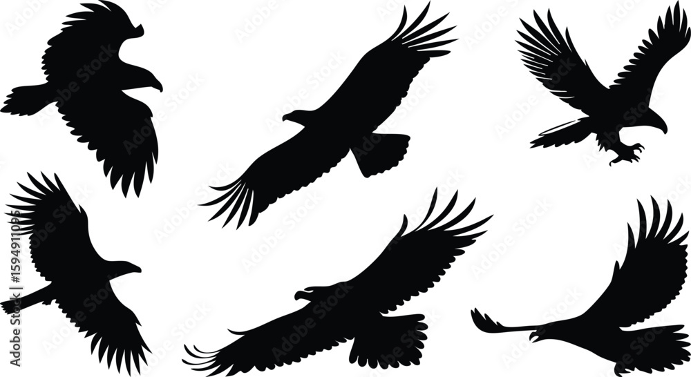 Obraz premium Black Silhouette of Eagles in Various Flying and Hunting Poses