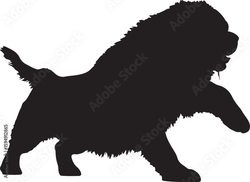  Tranquilo in silhouette pure white background.