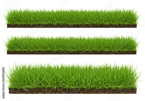 Three distinct horizontal strips of vibrant green untrimmed grass with visible brown soil, isolated on a transparent seamless studio background with bright, shadowless lighting, a pristine nature
