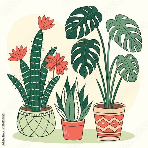 Illustration of potted plants including cactus, snake plant, and monstera deliciosa plants