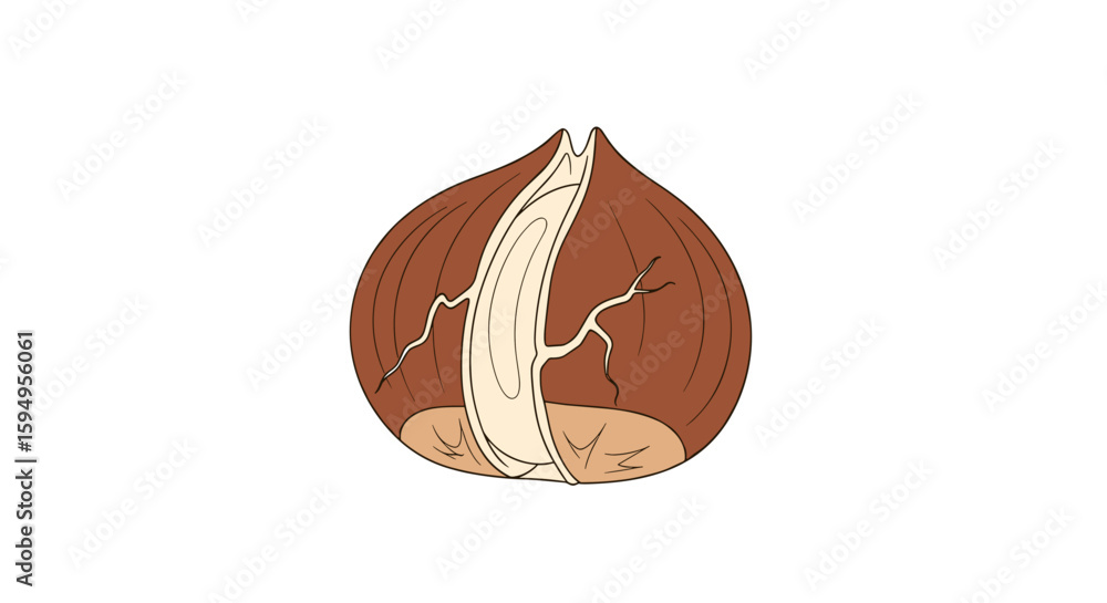 Obraz premium Cracked brown hazelnut illustration on white background