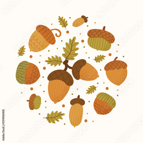 Autumn acorn collection. Various oak nuts and leaves in flat cozy style. Fall botanical elements set. Warm seasonal illustration isolated on white background.