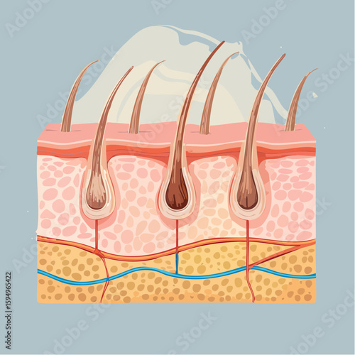 Hair follicle: A detailed illustration of the hair follicle, showcasing the layers of skin and the hair growth process, offering an insightful look at the human body.