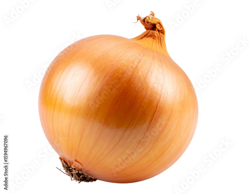 Wallpaper Mural  Whole Fresh Onion – Isolated on Transparent Background PNG Torontodigital.ca
