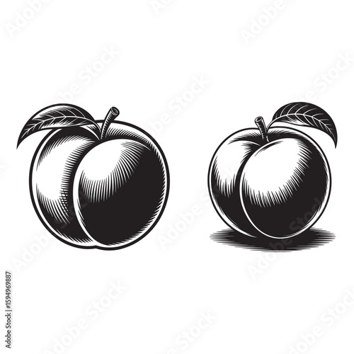 Black and white illustration of two peaches with leaves fruit