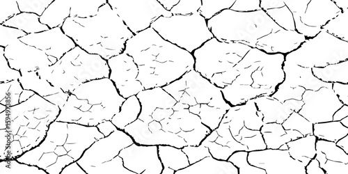 High-contrast cracked dry earth texture showing detailed drought patterns. Ideal for backgrounds, environmental themes, natural disasters, and climate change-related design.
