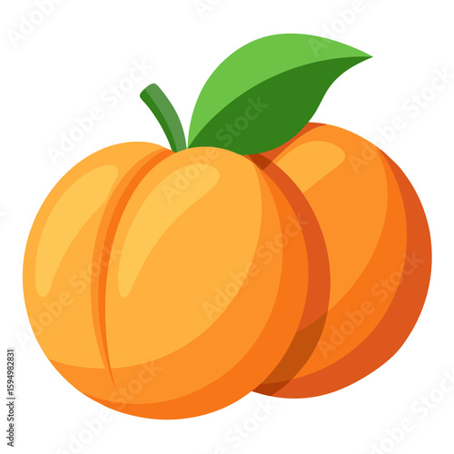 vector illustration of a peaches