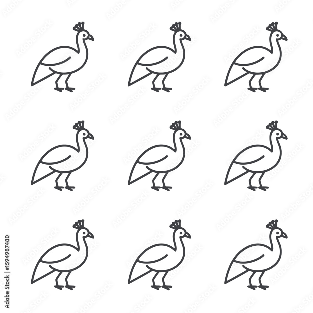 Nine outline drawings of a peacock isolated on white background Nine outline drawings of a peacock isolated on white background